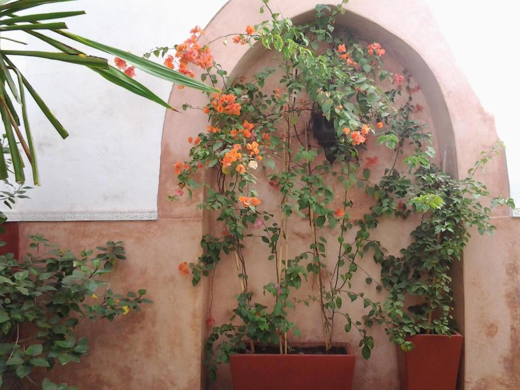 Ryad Dar Ganou Marrakesh Exterior foto